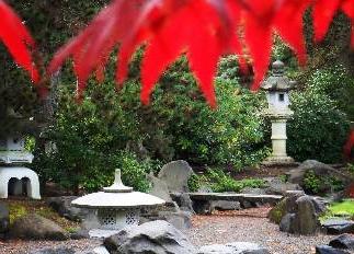 日本花园里的红叶和石头
